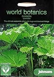 【輸入種子】 Johnsons Seeds World Botanics Collection Gunnera manicata グンネラ・マニカータ ジョンソンズシード