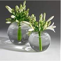 Amazon.co.jp: SERAX ガラス フラワーベース オブジェ 高さ8cm