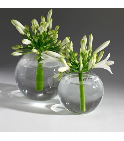 イイノナホ ガラス 花器 フラワーベース　オブジェ イイノナホ ガラス 花器 フラワーベース オブジェ