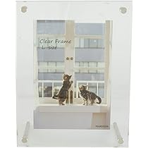 Amazon.co.jp: FUJICOLOR アクリルフレーム L クリア Lサイズ
