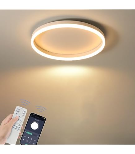 Amazon.co.jp : NJTOZXZC シーリングライト 北欧 LED 8畳 円盤 丸形