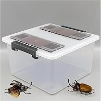 Amazon | 大きいクワガタカブトムシプロのケース 産卵用、幼虫