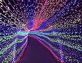 LUCKY CLOVER-A クリスマスライト、3 * 2 m 200 LED、妖精のライトランタンフェスティバル屋外灯、明るい屋外の結婚式、結婚式のカーニバルパーティーの装飾（多色）、白