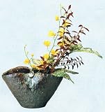 茶窯変手付花入　信楽焼 陶器 花器 花入 花瓶