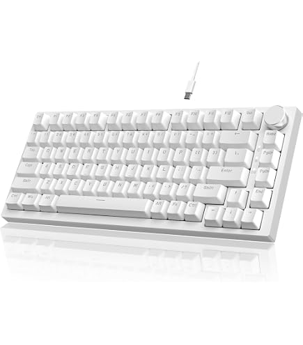 Amazon | AJAZZ AK820 メカニカルゲーミングキーボード 75%有線TKL