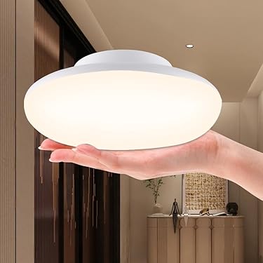 Amazon.co.jp 最新リリース: シーリングライト の新着ランキングです。