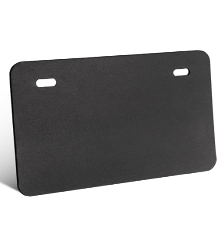 Amazon.co.jp: 大型用 奥行12cm 角Rナンバー枠 ステンレス鏡面800 字光