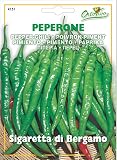 野菜の種 ペッパーチリ・ベルガモ