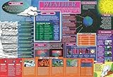 Painless Learning Weather Placemat [並行輸入品]