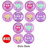 GIRLS OWLS Baby Month Onesie Stickers Baby Shower Gift Photo Shower Stickers, baby shower gift by On