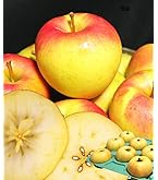 青森県産 りんご ぐんま名月 10kg Amazon.co.jp: 青森 りんご 10kg箱 ぐんま名月 家庭用 青森県産リンゴ