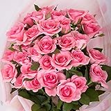 全５色から選べるバラの花束70本　バラギフト専門店マミーローズの豪華なバラの花束(生花) (ピンク) バレンタイン