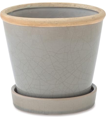 Amazon.co.jp: GOUJIN BOTANIZE 豪人窯 ボタナイズ 植木鉢 陶器 : DIY