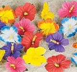 Decorativeハイビスカス花( 24 pc )