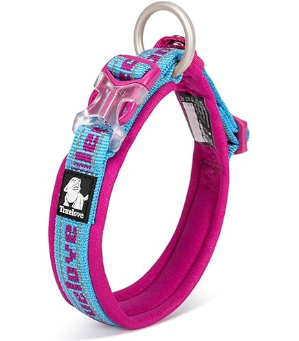 Amazon.co.jp: DVDTHE ALFEE 2002年 首輪物語Ⅰ,Ⅱ 2枚セット