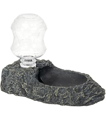 Amazon | IKENOKOI爬虫類 食器 自動給水 餌入れ 水入れ 亀