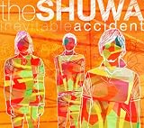 inevitable accident