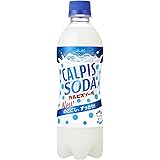 カルピス カルピスソーダ 500mlペットボトル×24本入×(2ケース)