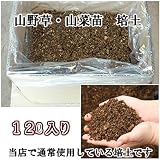 培土:山野草培土たっぷり12リットル入り 段ボールに詰めてお送りします【紫桜館山の花屋】