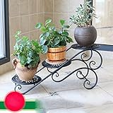 CHUANLAN フラワースタンド アイアンフラワーシェルフインテリアProvince宇宙バルコニーデコレーションリビングルームFlower Rack (色 : ブラック)
