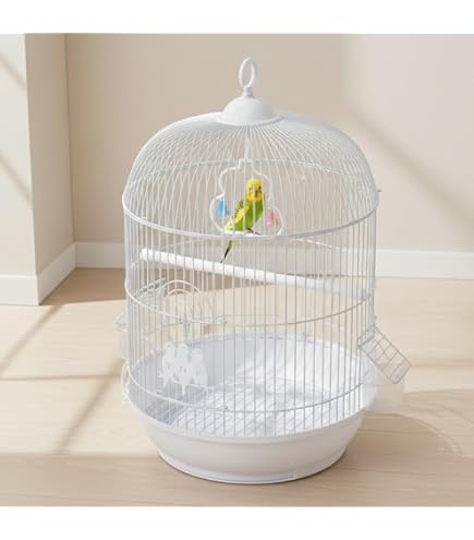 Amazon | IYOIYA 鳥かご インコ 丸型 バードパレス 文鳥 手乗り 小鳥