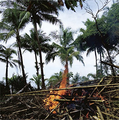 Metaphors [HEADZ219]