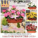 造花ローズプランター (ピンク)