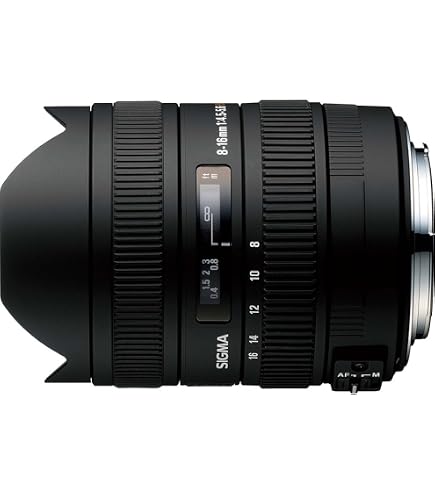 Amazon.co.jp: SIGMA 広角ズームレンズ 12-24mm F4.5-5.6IIDG HSM