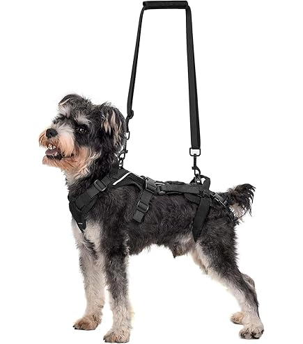 Amazon | 犬 歩行補助ハーネス 介護 ハーネス 胴輪 LaLaWalk ララ