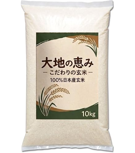 山形県長井市産 はえぬき玄米 2025年産 10kg 精米サービスOK