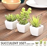 グリーン／観葉植物 光触媒 造花 多肉植物3点セット グリーン 人工植物 消臭 抗菌 防菌 ホルムアルデヒド 植物 人工 タバコ アートフラワー オフィス プレゼント ギフト