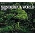 ゆず「WONDERFUL WORLD」