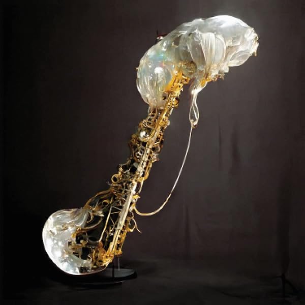 Amazon.co.jp: Sam Gendel & Shin Sasakubo: ミュージック