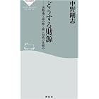 どうする財源 貨幣論で読み解く税と財政の仕組み (祥伝社新書)