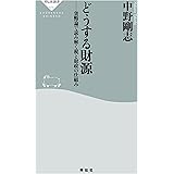 どうする財源 貨幣論で読み解く税と財政の仕組み (祥伝社新書)