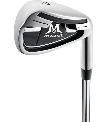 Amazon.co.jp: 本間ゴルフ TOUR WORLD TW747 P アイアン VIZARD TW747