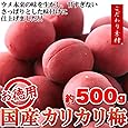 旨さを求めた3つのこだわり【お徳用】国産カリカリ梅500g / 常温便