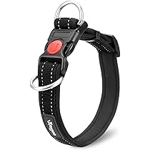 NEIGHBORHOOD DOG犬用首輪 ブラック 調整可能 NEIGHBORHOOD DOG犬用首輪 ブラック 調整可能