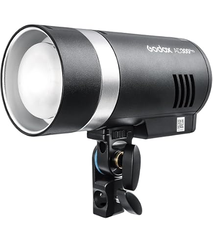 Amazon | Godox SK300IIV LEDスタジオフラッシュストロボライト