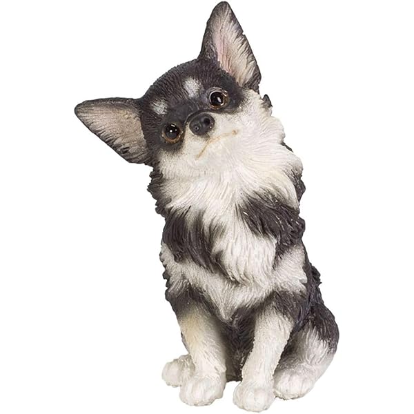 Amazon.co.jp: [野澤作蔵商店] 【のび犬 チワワ】ちわーわ