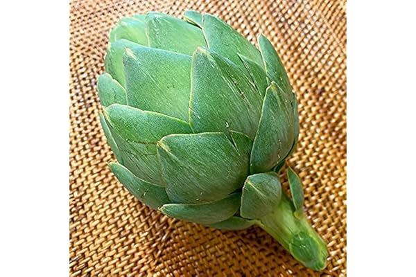 Amazon Co Jp 売れ筋ランキング アーティチョーク の中で最も人気のある商品です