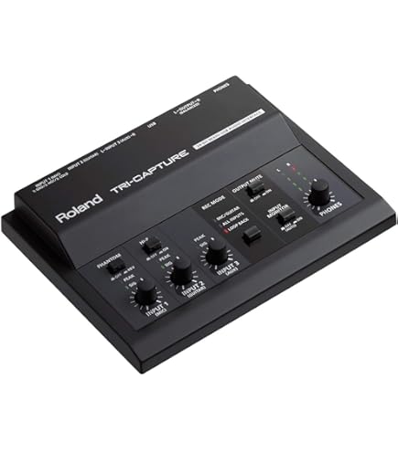 Amazon.co.jp: ROLAND UA-4FX2 オーディオインターフェース : 楽器