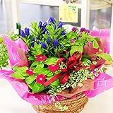 敬老の日おまかせ寄せ鉢ミックス りんどう