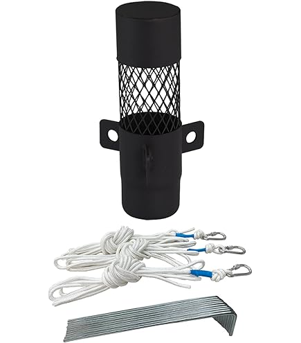 Amazon | PETROMAX(ペトロマックス) ポータブル薪ストーブ ロキ2