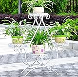 レインボーフラワースタンド フラワースタンドシェルフ多層メタルペインティングプラントDispaly Shelf屋内オフィスFowerポットシェルフ (色 : 白)