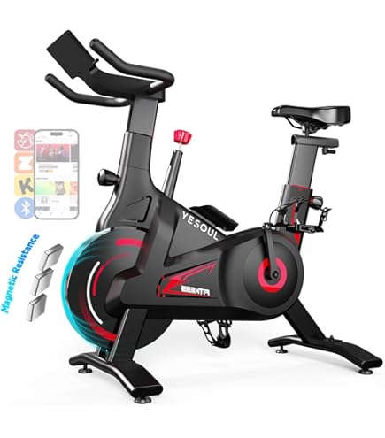 Amazon.co.jp: DMASUN エアロバイク 家庭用 静音スピンバイク