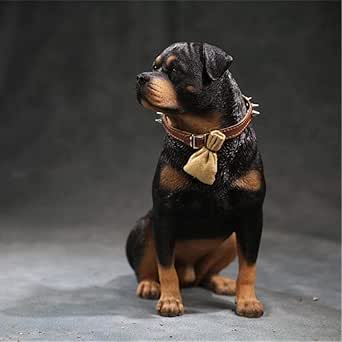 Amazon R堂 1 6 Mr Z フィギュア 道具 置物 素体 ペット 動物 モデル 犬 番犬 萌え だるい シミュレーション 情景 飾り フィギュア ドール 通販