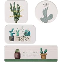 Ownmy Set Of 4 Water Absorbent Diatomite Drink Coasters Diatomaceous Earth Soap Holder Water Drying Soap Saver Dish Toothbrush Holder Set For Bathroom And Kitchen Cactus Amazon Sg Home