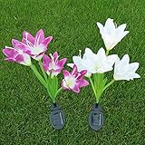 RaiFu ソーラーライト 4頭 リリー ピン ランプ ファッション クリエイティブ ナイトライトヤード ガーデン 装飾 2 Pcs パープル・ホワイト混合