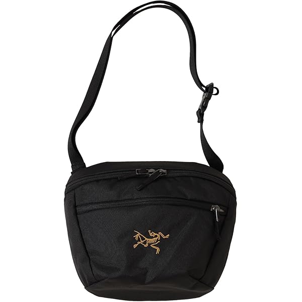 Amazon | ARCTERYX(アークテリクス) マンティス2ウエストパック